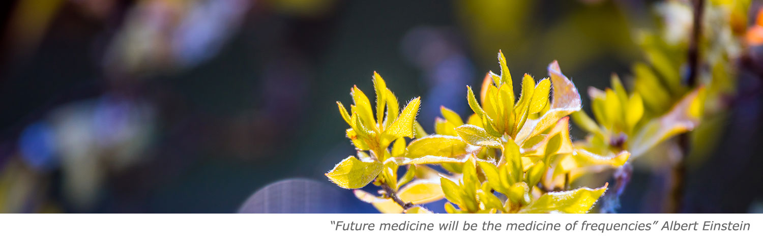 Future medicine will be the medicine of frequencies